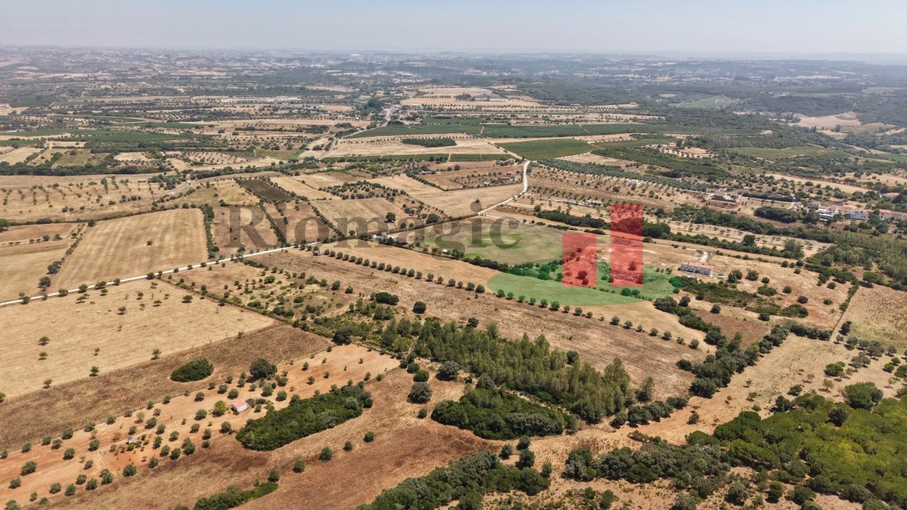 Terreno para Venda em Almoster Foto 27