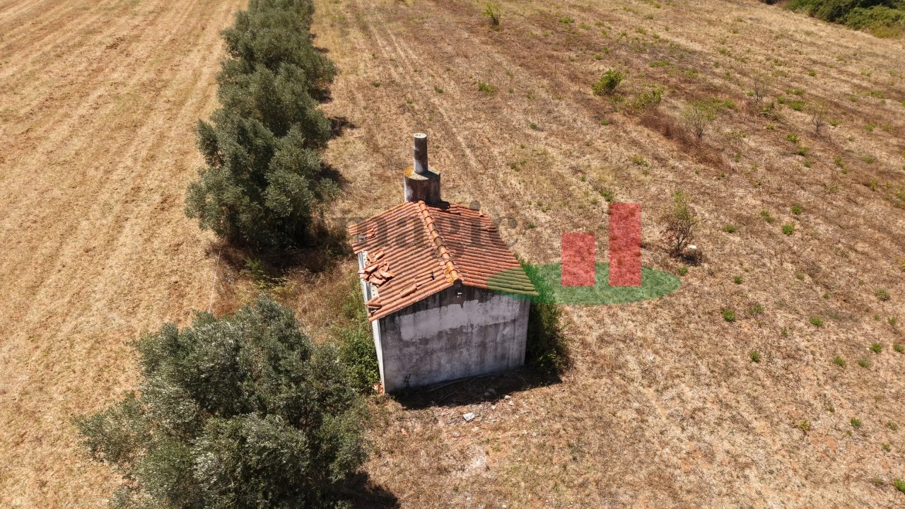 Terreno para Venda em Almoster Foto 20