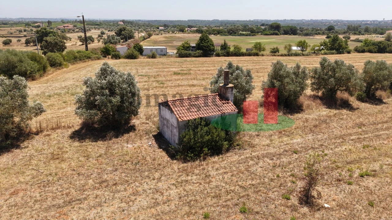 Terreno para Venda em Almoster Foto 21
