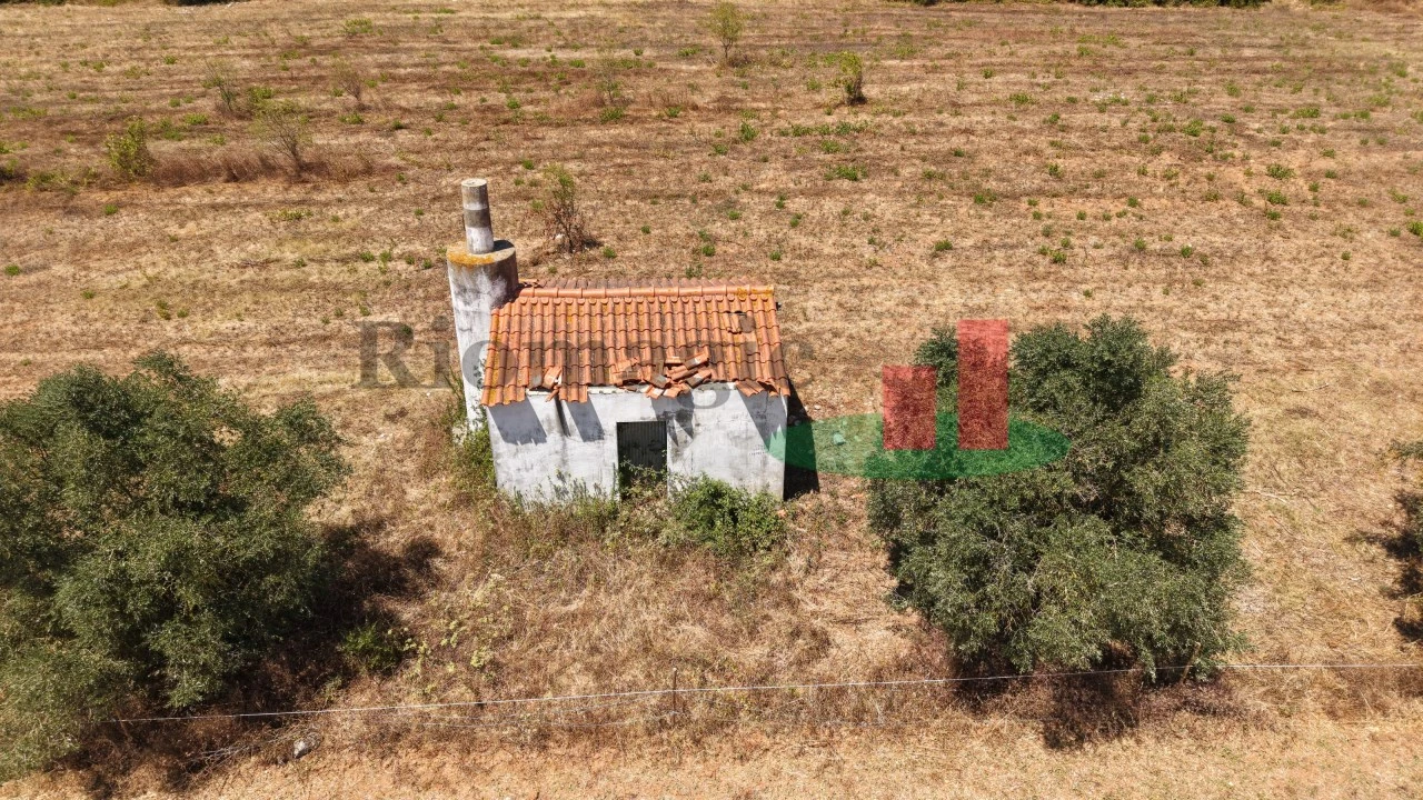 Terreno para Venda em Almoster Foto 22
