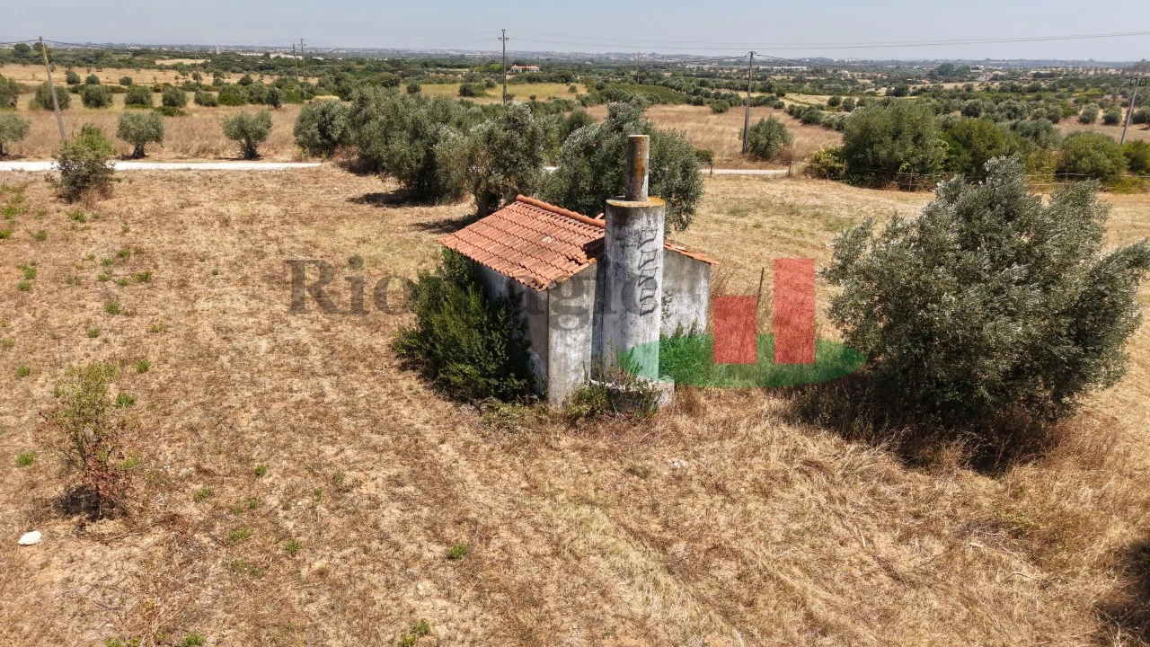 Terreno para Venda em Almoster Foto 16