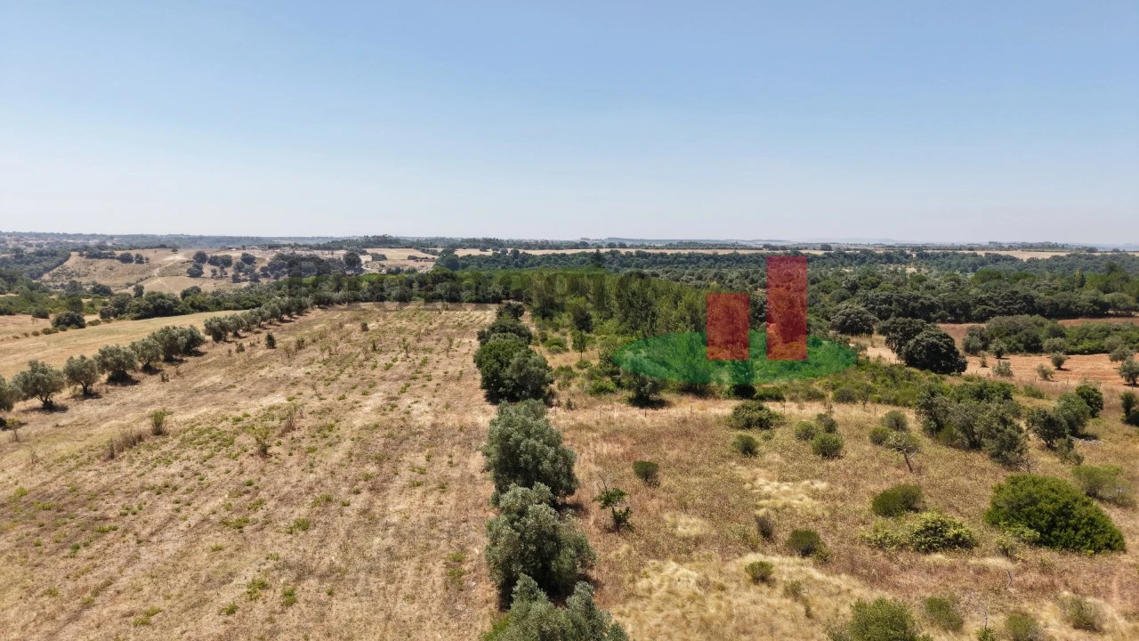 Terreno para Venda em Almoster Foto 36