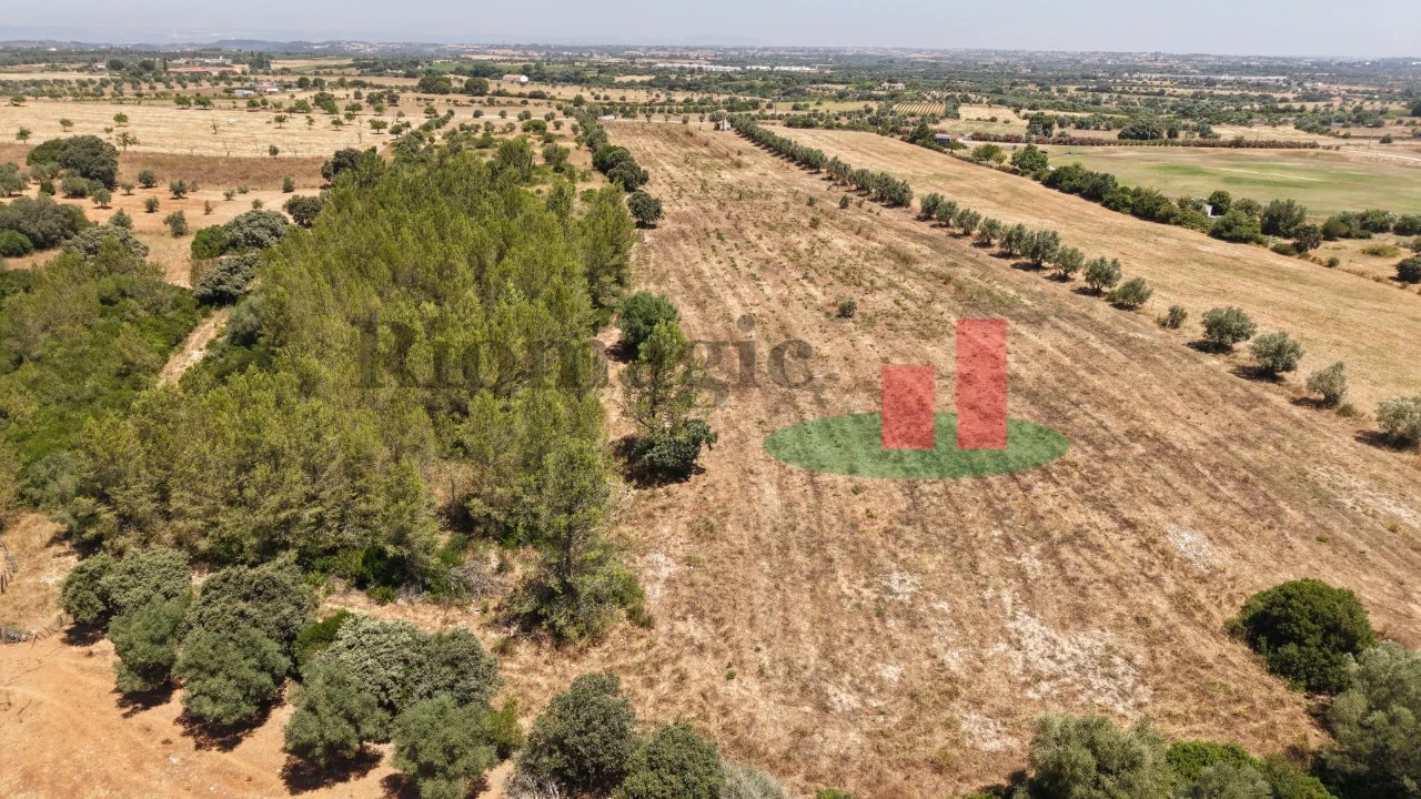 Terreno para Venda em Almoster Foto 38