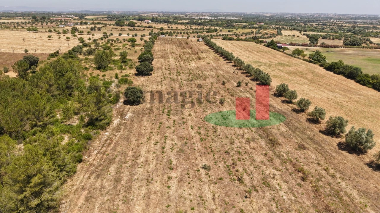 Terreno para Venda em Almoster Foto 39