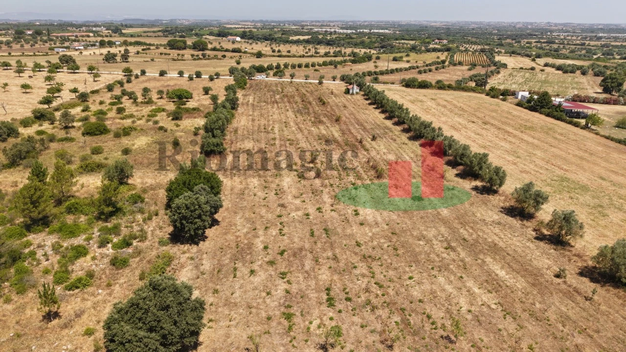 Terreno para Venda em Almoster Foto 40