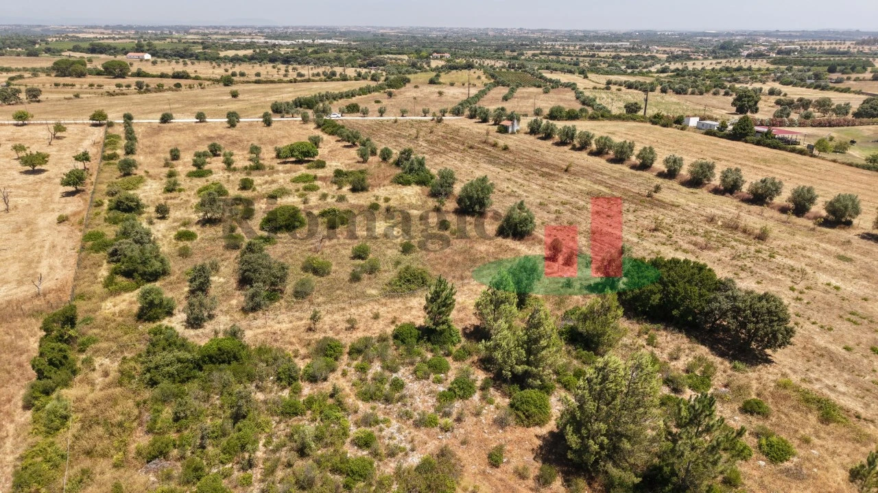 Terreno para Venda em Almoster Foto 41