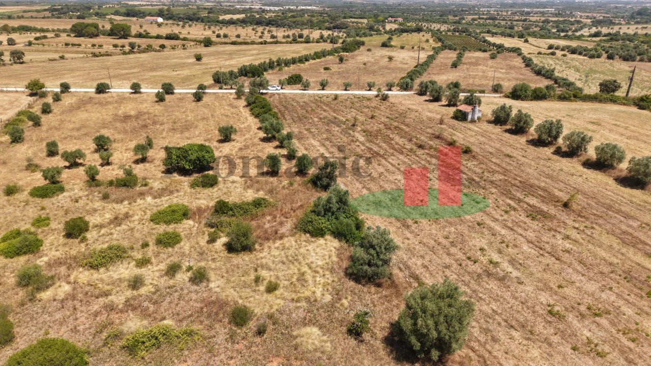 Terreno para Venda em Almoster Foto 42