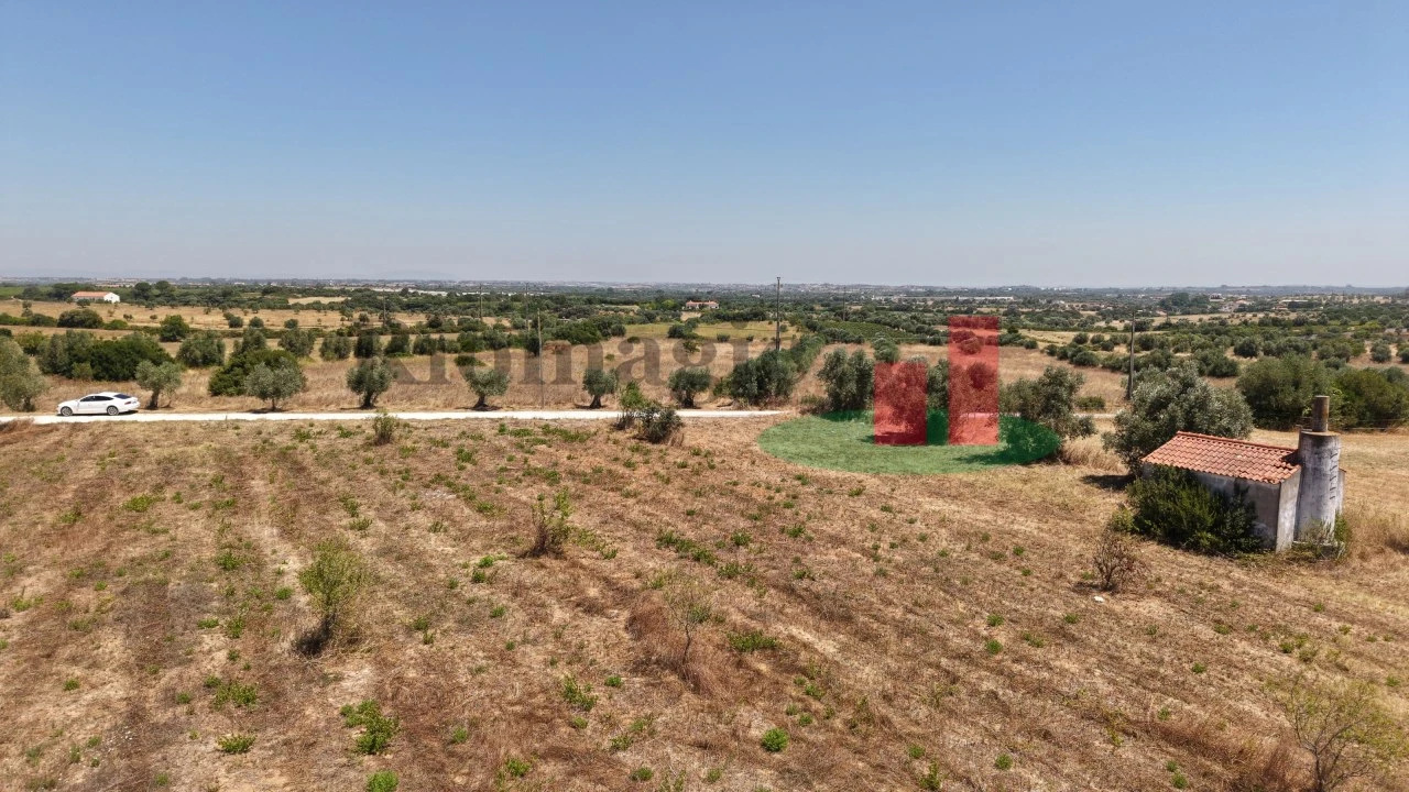 Terreno para Venda em Almoster Foto 43