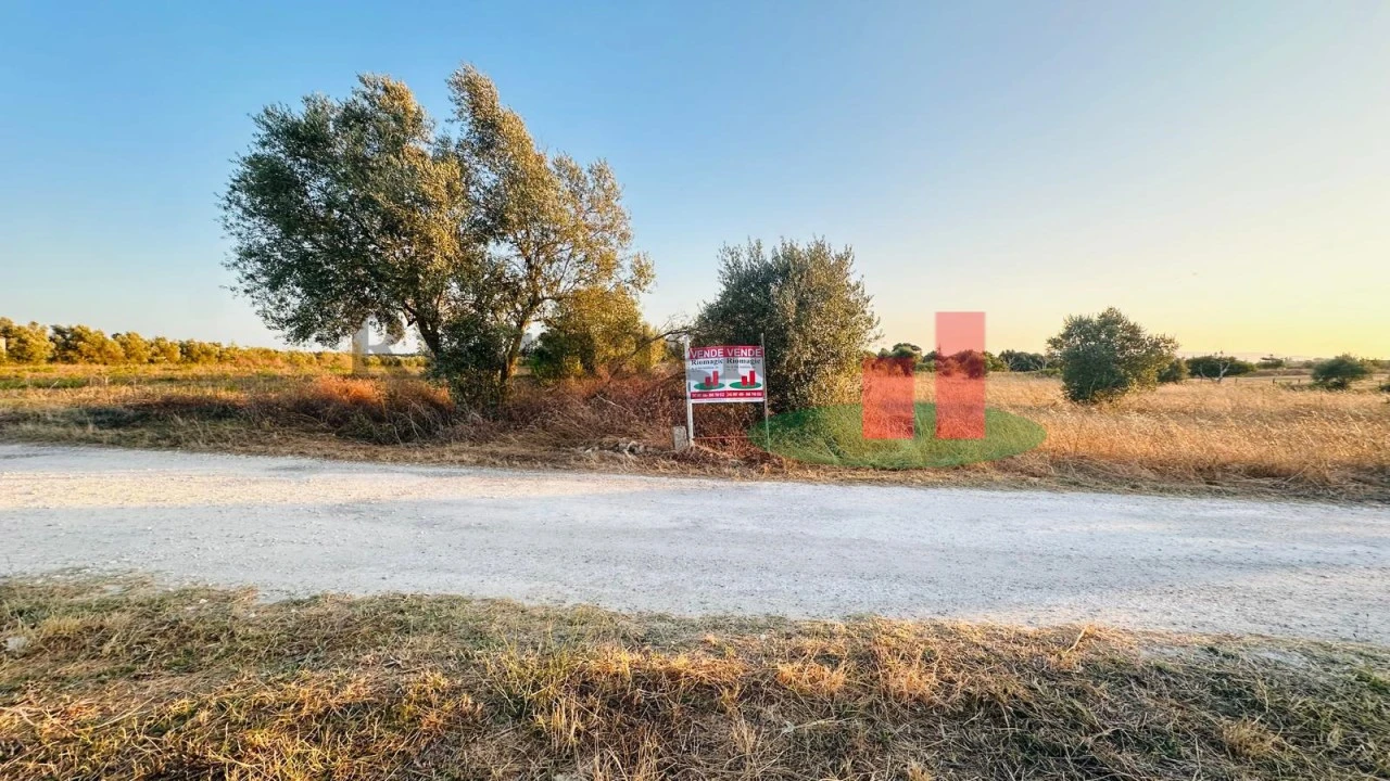 Terreno para Venda em Almoster Foto 44