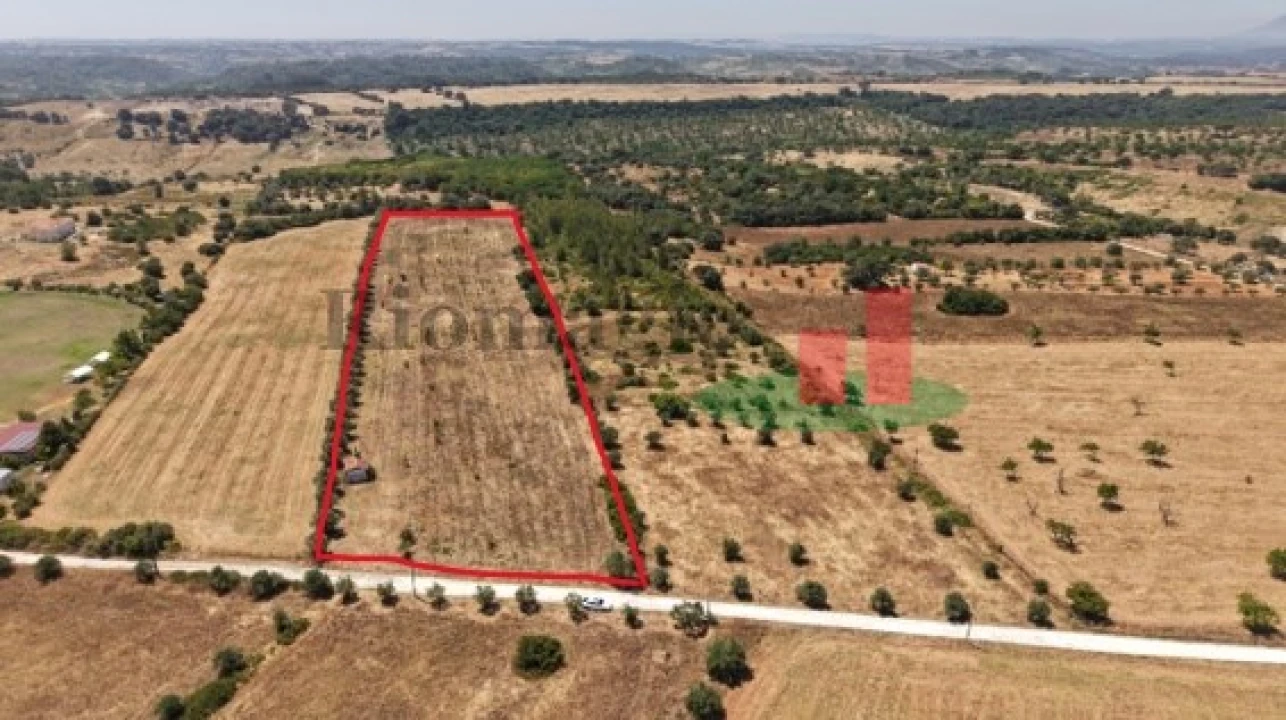 Terreno para Venda em Almoster Foto 1