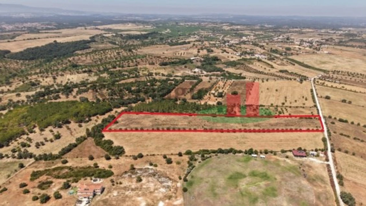 Terreno para Venda em Almoster Foto 2