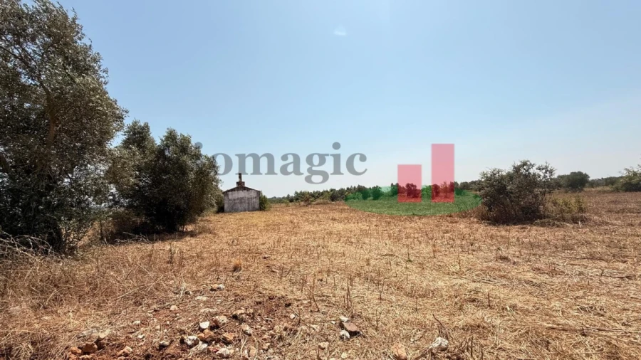 Terreno para Venda em Almoster Foto 13