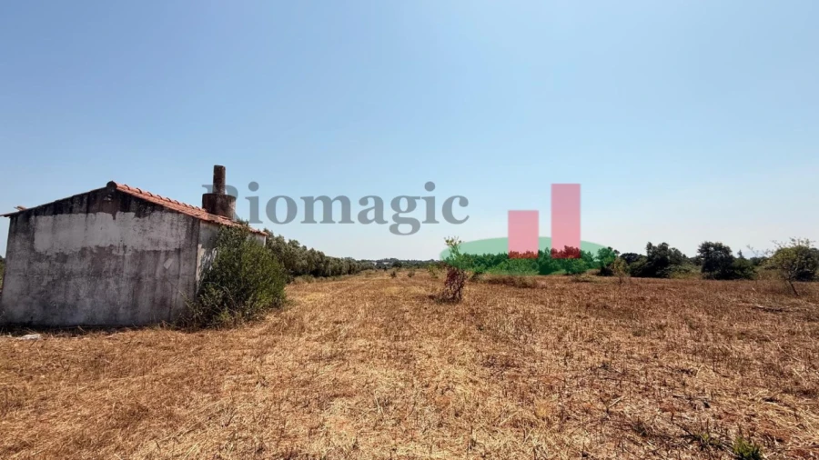 Terreno para Venda em Almoster Foto 18