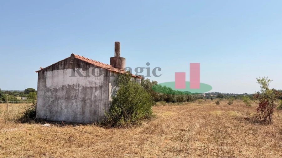 Terreno para Venda em Almoster Foto 19