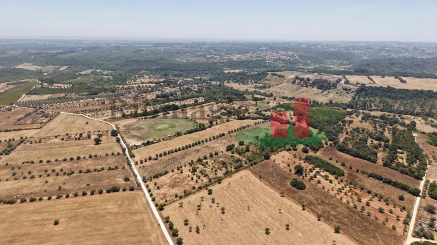 Terreno para Venda em Almoster Foto 25