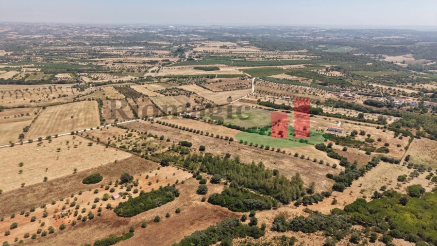 Terreno para Venda em Almoster Foto 27