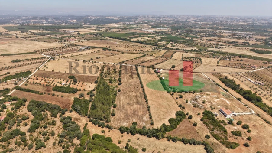 Terreno para Venda em Almoster Foto 28