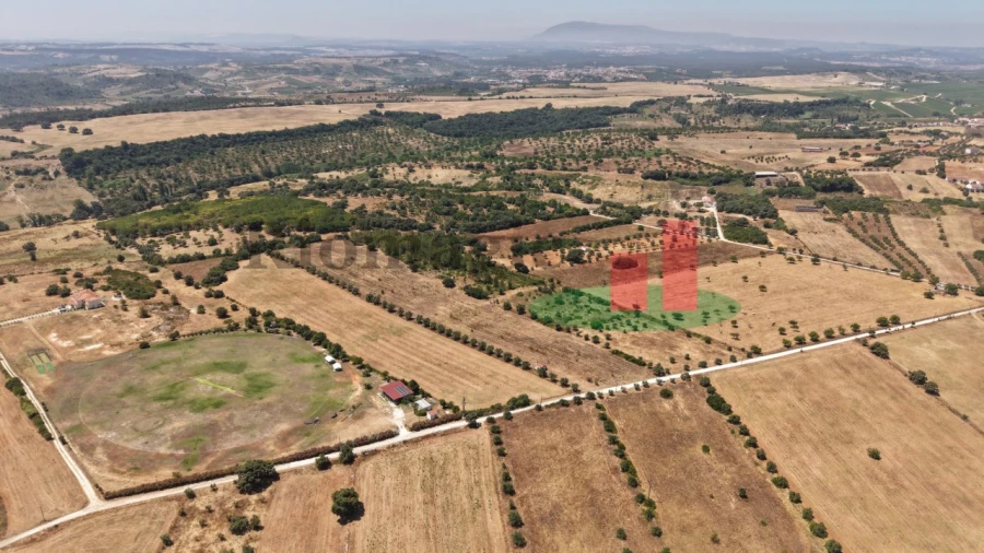 Terreno para Venda em Almoster Foto 32