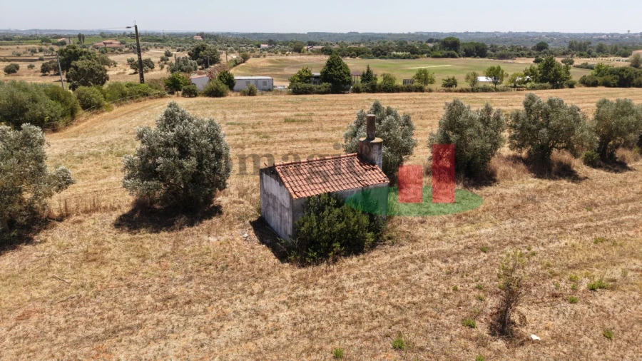 Terreno para Venda em Almoster Foto 21