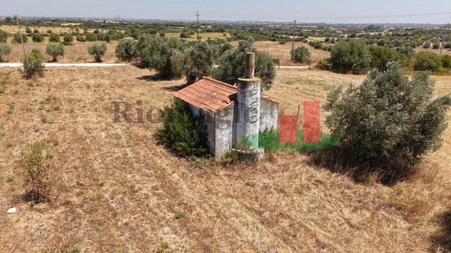 Terreno para Venda em Almoster Foto 16