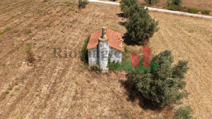 Terreno para Venda em Almoster Foto 17