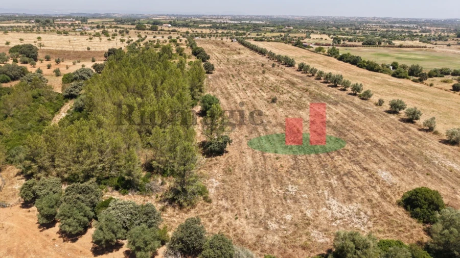 Terreno para Venda em Almoster Foto 38