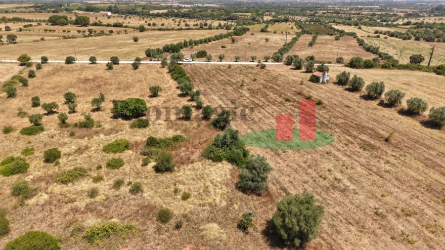 Terreno para Venda em Almoster Foto 42