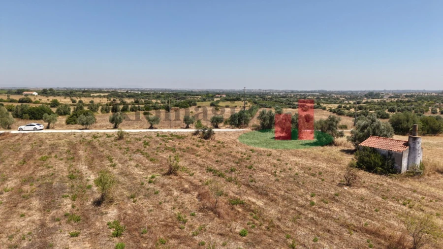 Terreno para Venda em Almoster Foto 43