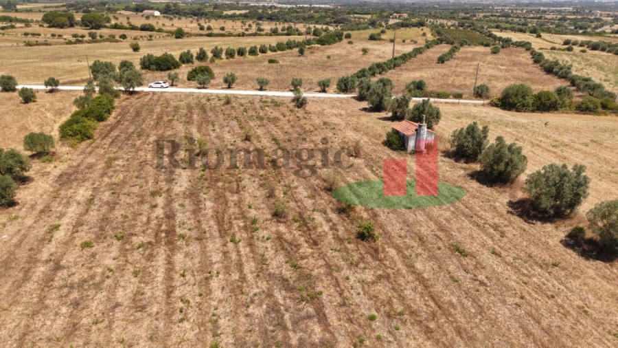 Terreno para Venda em Almoster Foto 5