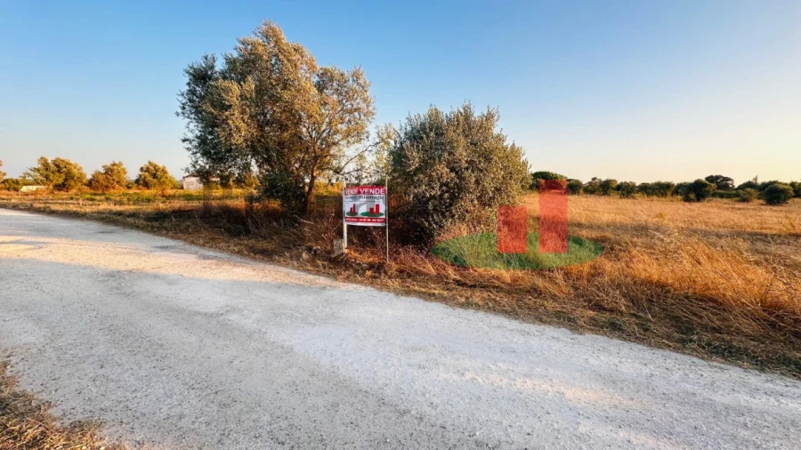 Terreno para Venda em Almoster Foto 45