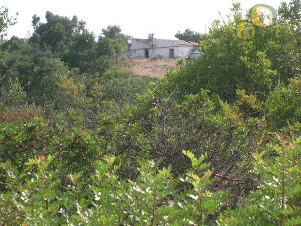 Terreno para Venda em Santa Barbara de Nexe Foto 1