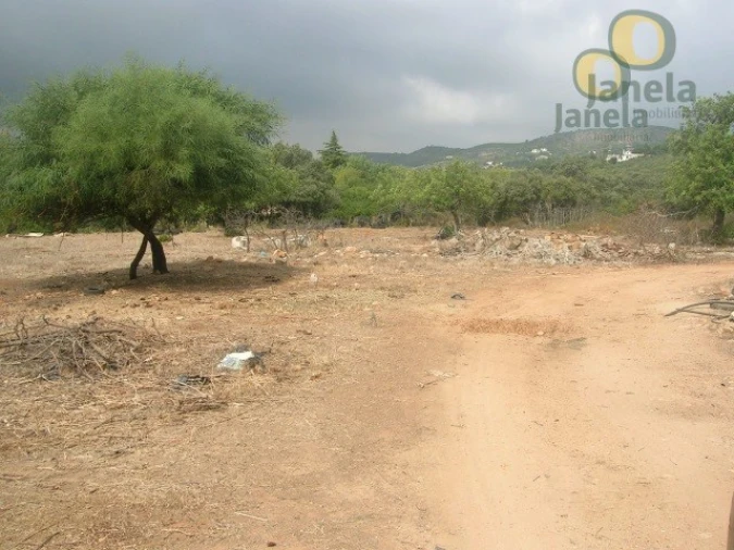 Terreno para Venda em Santa Barbara de Nexe Foto 2