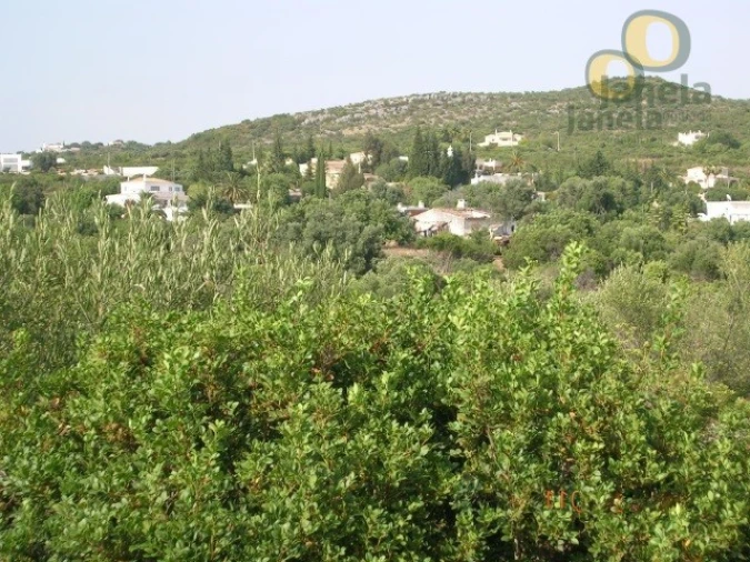 Terreno para Venda em Santa Barbara de Nexe Foto 3
