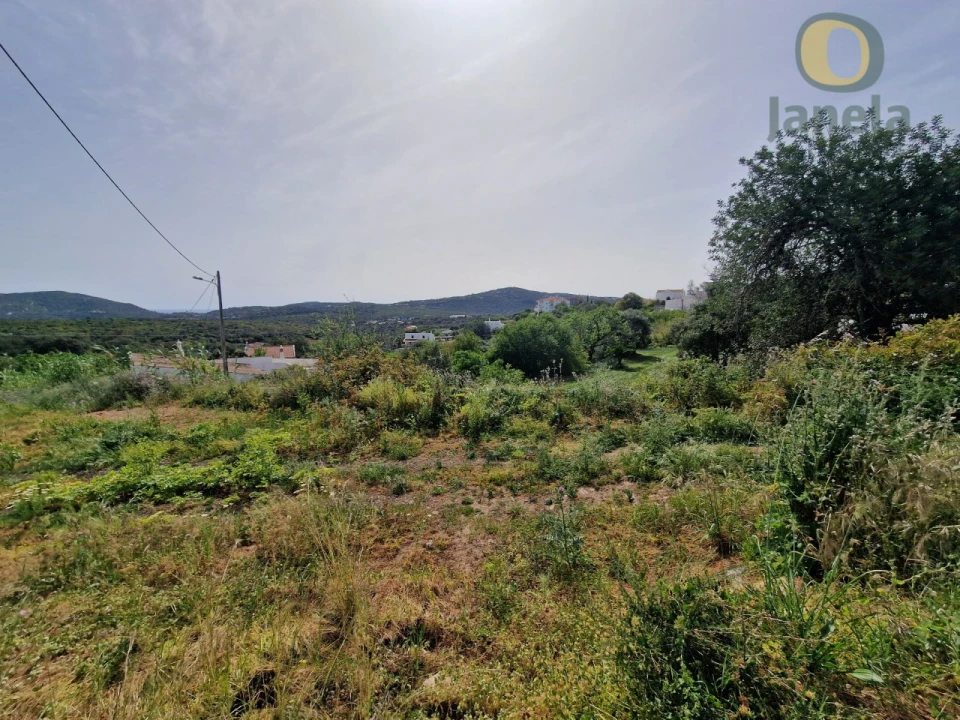Terreno para Venda em São Brás de Alportel Foto 5
