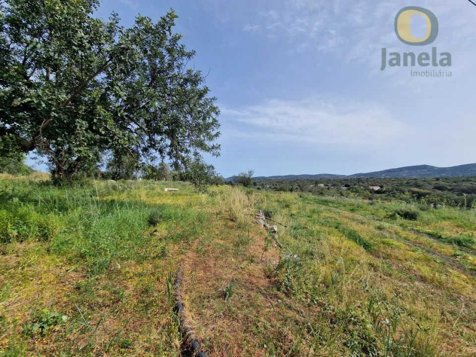 Terreno para Venda em São Brás de Alportel Foto 3