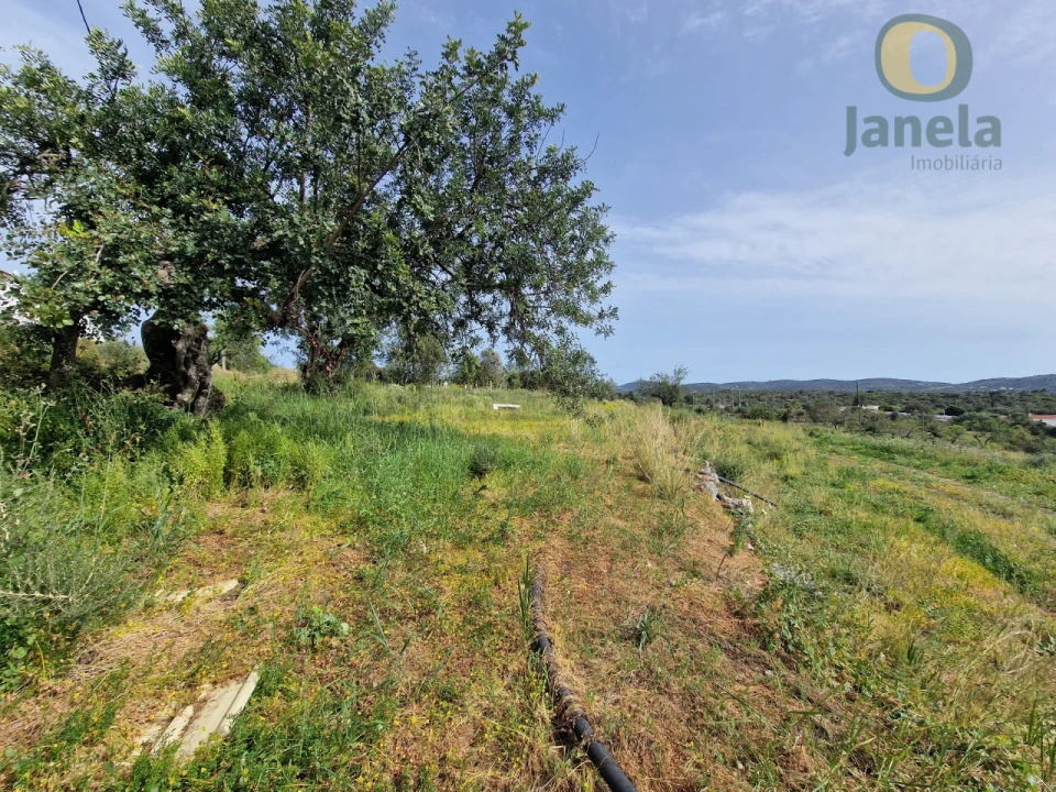 Terreno para Venda em São Brás de Alportel Foto 8