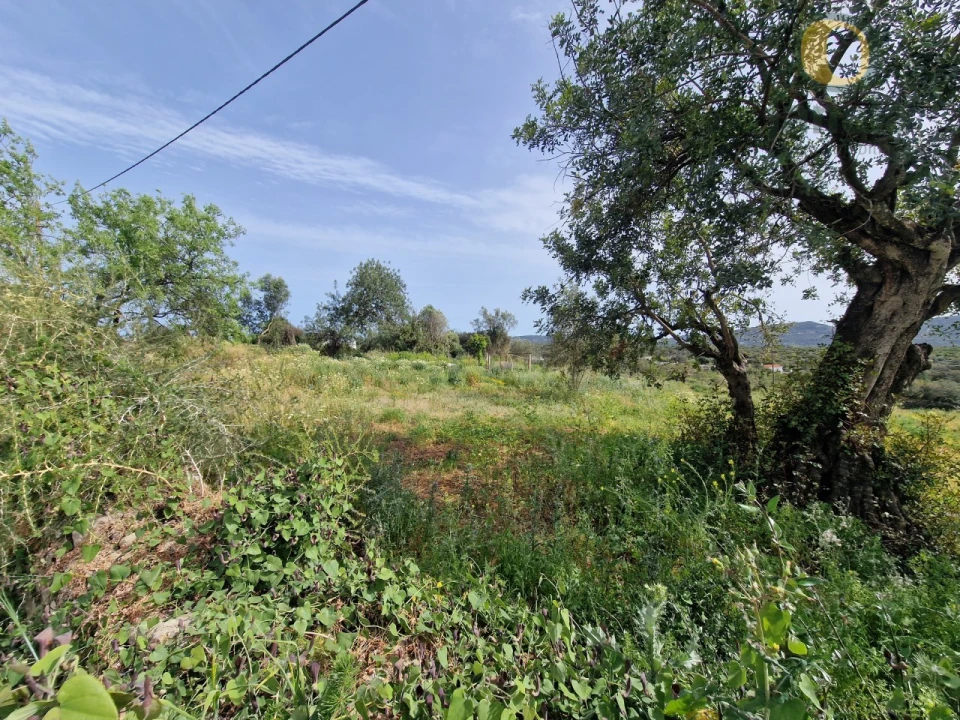 Terreno para Venda em São Brás de Alportel Foto 13