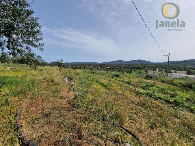 Terreno para Venda em São Brás de Alportel Foto 4