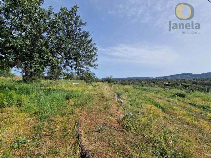 Terreno para Venda em São Brás de Alportel Foto 3