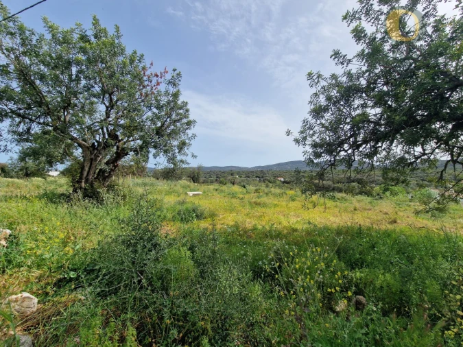 Terreno para Venda em São Brás de Alportel Foto 12