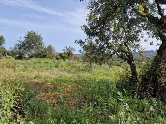 Terreno para Venda em São Brás de Alportel Foto 14