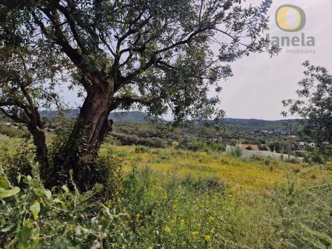 Terreno para Venda em São Brás de Alportel Foto 15