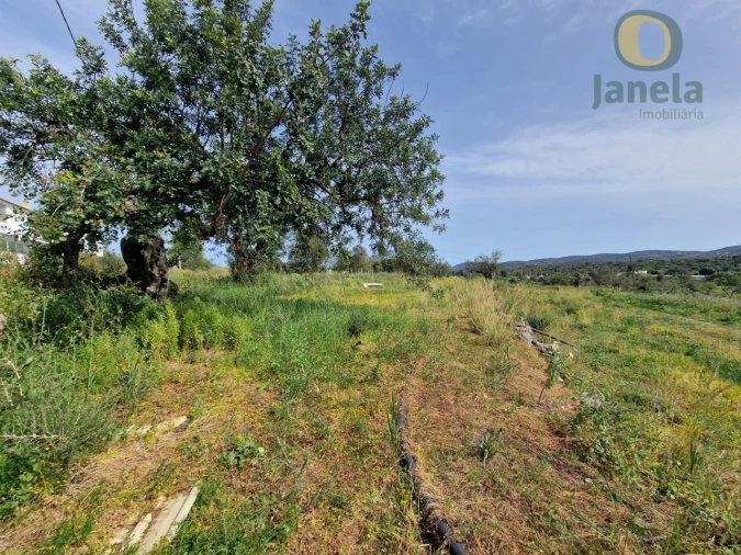 Terreno para Venda em São Brás de Alportel Foto 16