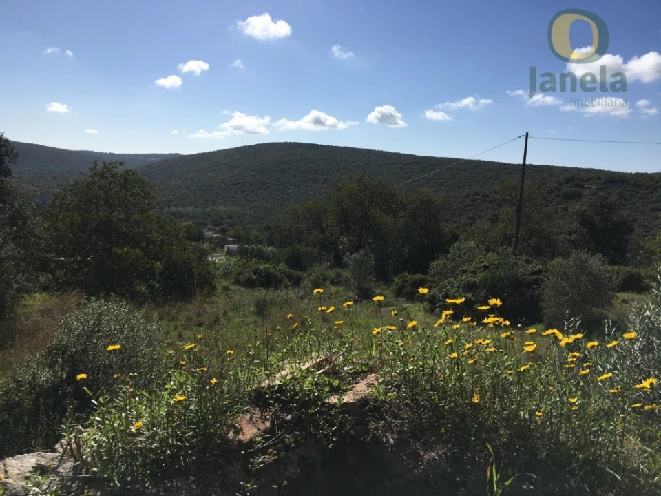 Terreno para Venda em Loule (São Clemente) Foto 1