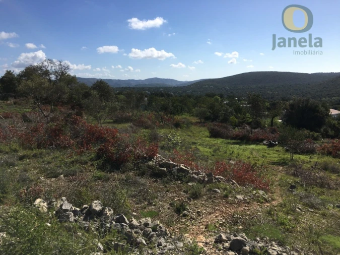 Terreno para Venda em Loule (São Clemente) Foto 3