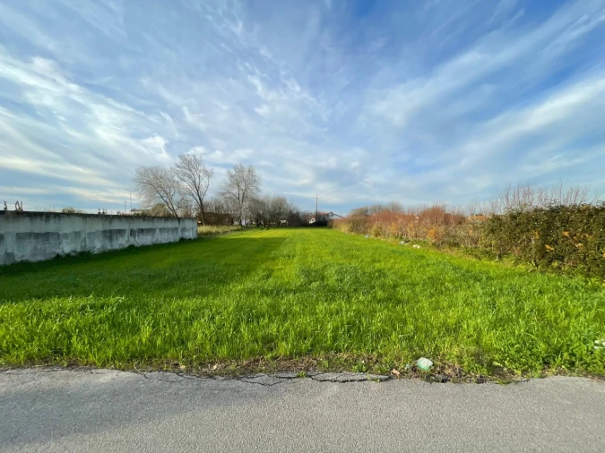 Terreno para Venda em Murtosa Foto 2