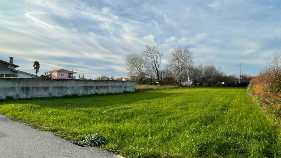 Terreno para Venda em Murtosa