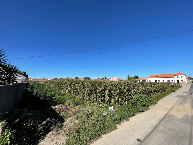 Terreno para Venda em Murtosa Foto 2