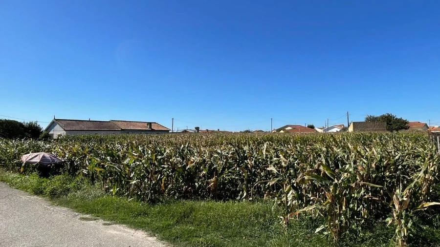 Terreno para Venda em Murtosa