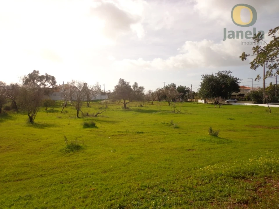 Terreno para Venda em Almancil Foto 3